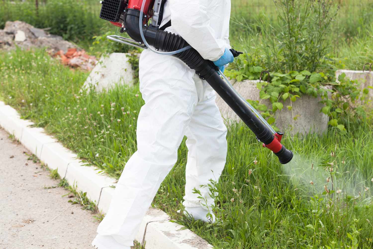 Expert pest control team